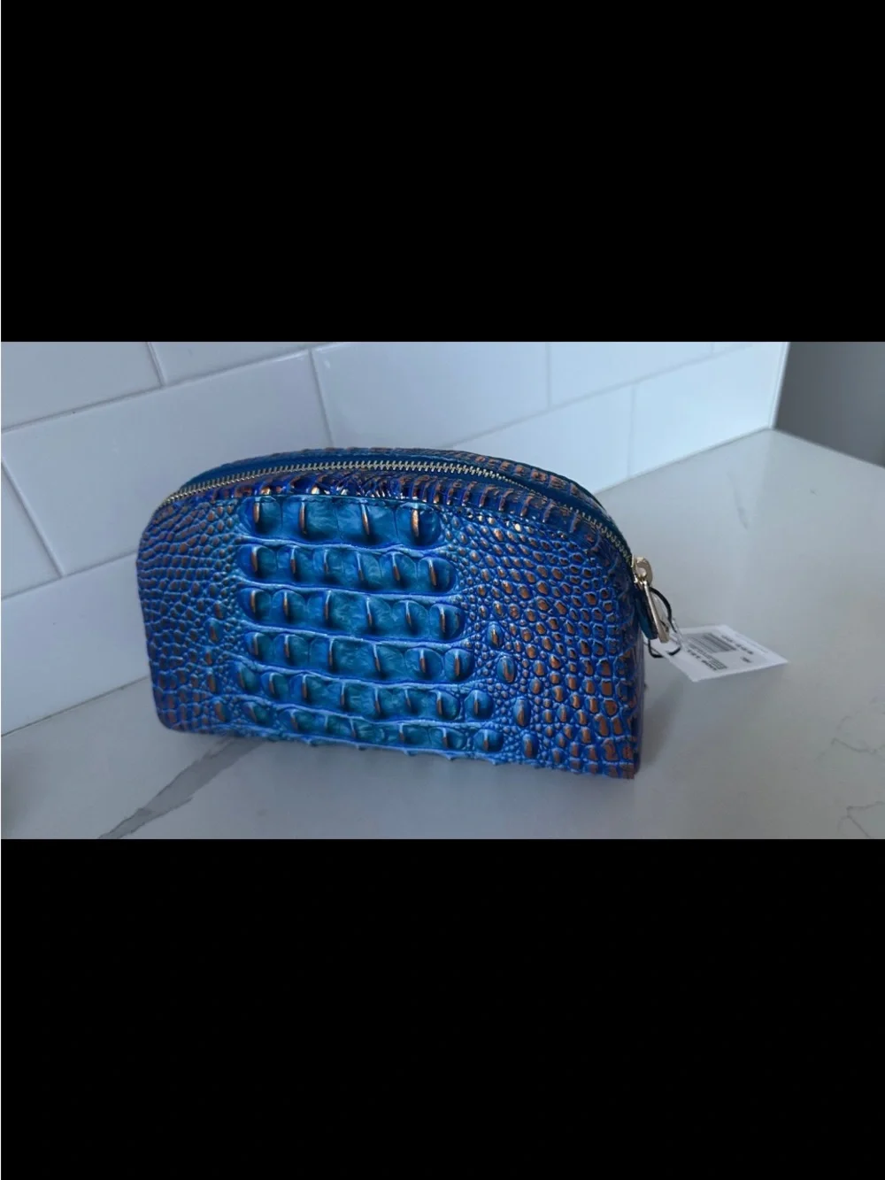 Brahmin Dany deep azure cosmetics Case